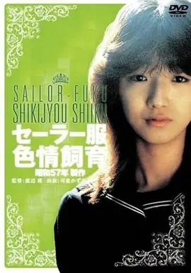 99影院短剧《闪婚老公是首富》海报
